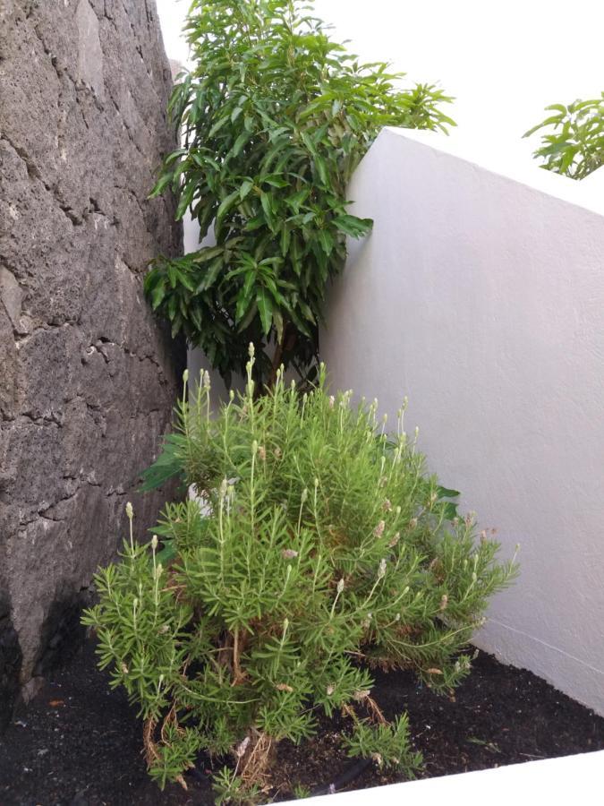 פוארטו קאלרו Villa Lanzarote מראה חיצוני תמונה